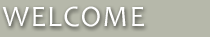 Welcome to Suwanee Acupuncture